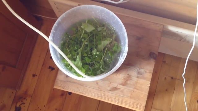 Что такое озонатор | Как очищать продукты озонатором смотреть онлайн