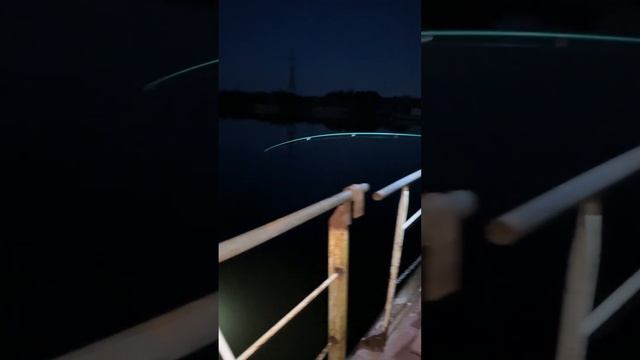 #налим #рыбалка #рыба #fishing#налим весной#ловля налима#рыбалка на реке#рыбалка весной