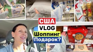 США ВЛОГ Новогодний шопинг! Ищу подарок для Маши!