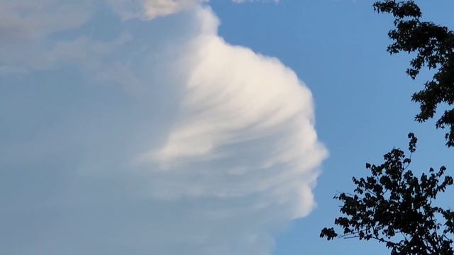 КРАСОТИЩА НА НЕБЕ И В ОГОРОДЕ // США смотреть онлайн