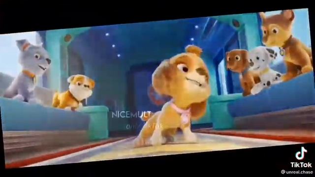 Собаки танцуют 🤣🤣🤣 смотреть онлайн