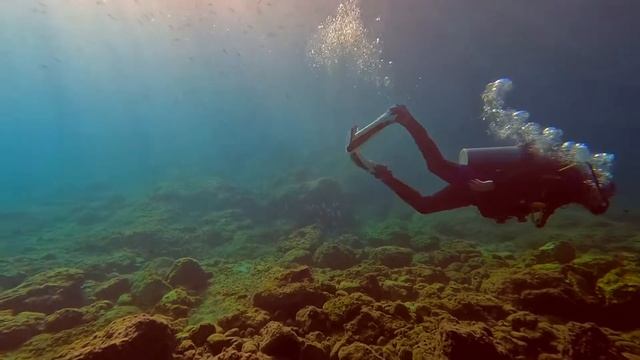 Scuba Diving Mallorca 2022 🤿 #spain #underwater #diving #ikigai смотреть онлайн
