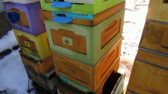 21.12.2024 - малоформатные ульи с разной пчелиной ячейкой, обработка от клеща пчел с ячекой 5,4 мм смотреть онлайн