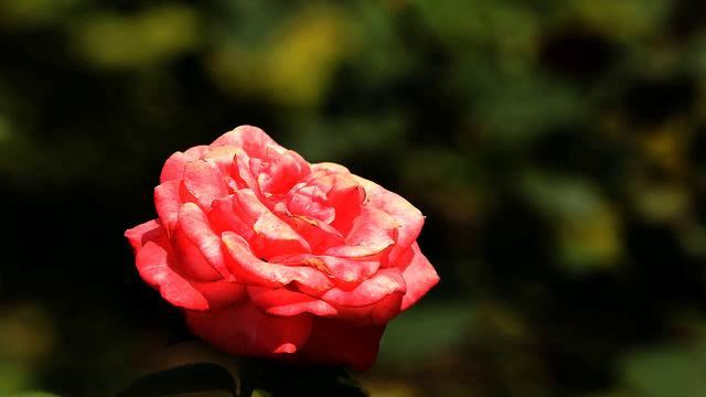 Слушать новую песню и фото онлайн смотреть онлайн