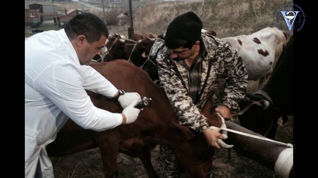 На страже биологической и продовольственной безопасности Свердловского района