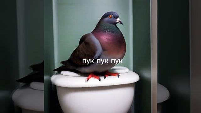 пук пук пук.... смотреть онлайн