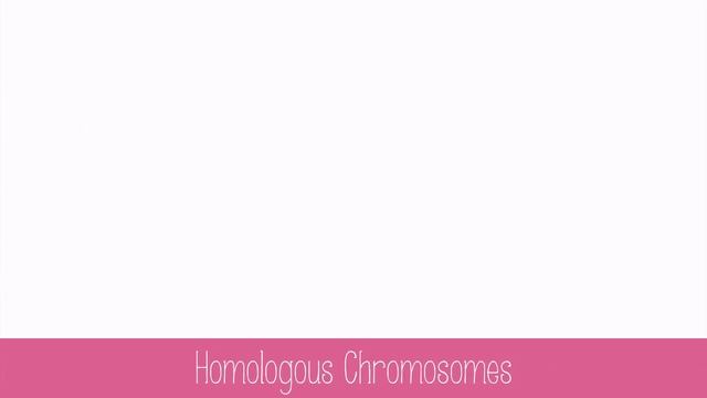 Genes and Chromosomes смотреть онлайн
