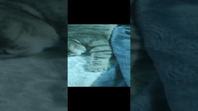 Клиент готов. смотреть онлайн