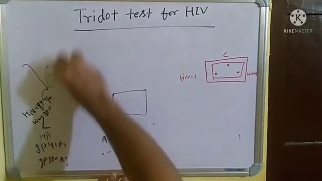 tridot test for hiv aids (theory) / rapid card for hiv aids / hiv / Aids / hiv 1 and hiv 2 antibod смотреть онлайн