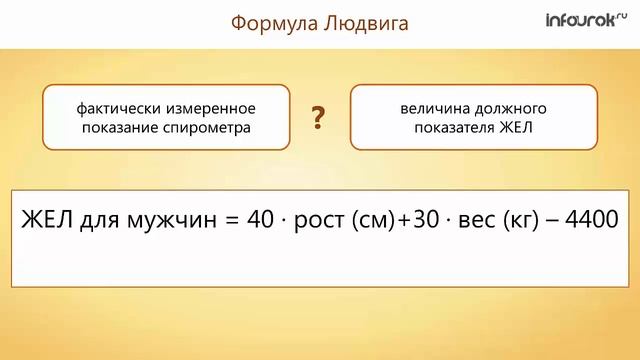 25. Механизм дыхания. Жизненная ёмкость лёгких смотреть онлайн
