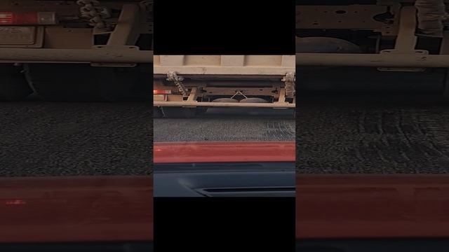 походу самец