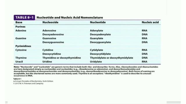 Nucleic acid | Nucleotide | DNA | RNA |complete detail , lecture part 1 смотреть онлайн