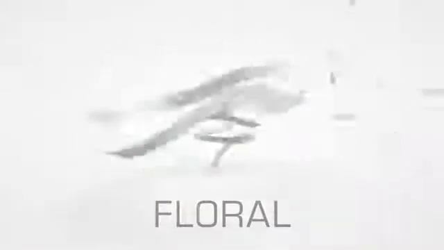 Eau de Lacoste L.12.12 Blanc - Paris Gallery - باريس غاليري смотреть онлайн