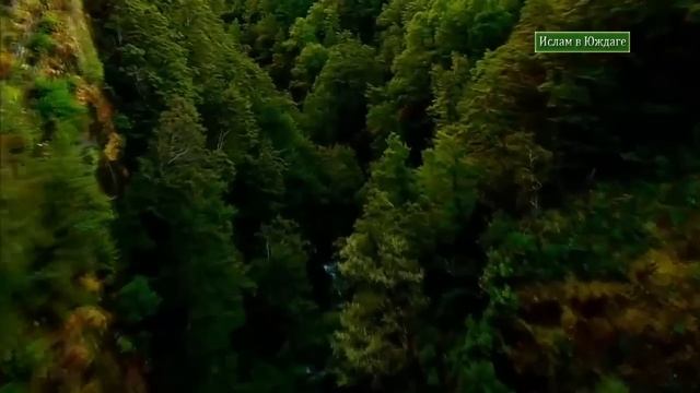 Красивое чтение Корана на фоне природы. Шейх Ахмад аль-Аджми смотреть онлайн