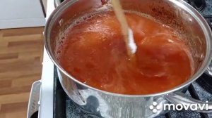 АЛЫЧА.  ЗАГОТОВКИ НА ЗИМУ.  КАК ПРИГОТОВИТЬ ЖЕЛЕ ИЗ АЛЫЧИ.