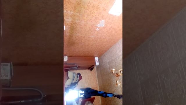 Освободиться от укуса собаки смотреть онлайн