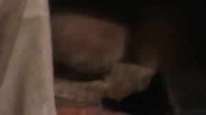 Завтрак не в пост.  10. 11. 2022