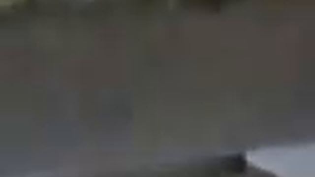 голуби венгры ивановская область