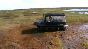 ВЕЗДЕХОД АРГО  ARGO   и его проходимость , жесть