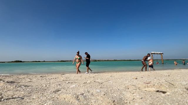 Круиз семьи Юнусовых с  Dexnet