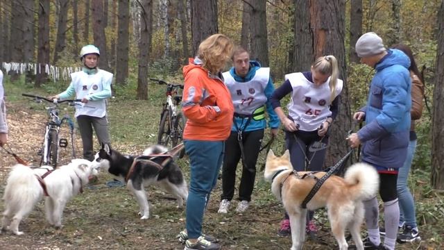 ХотДог смотреть онлайн