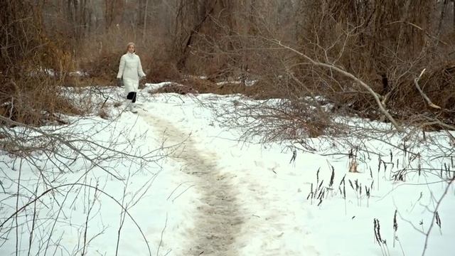 Визит (фильм)