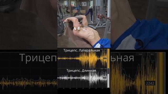 Французский жим. Под каким углом лучше? #фитнес #тренировка #миограф смотреть онлайн