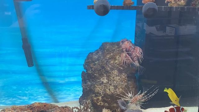 Расшевелил морское болотце)