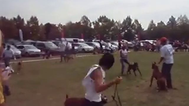 Tempo Vivace Amoteamo Open Class Ch Italia 2009 VIDEO 1