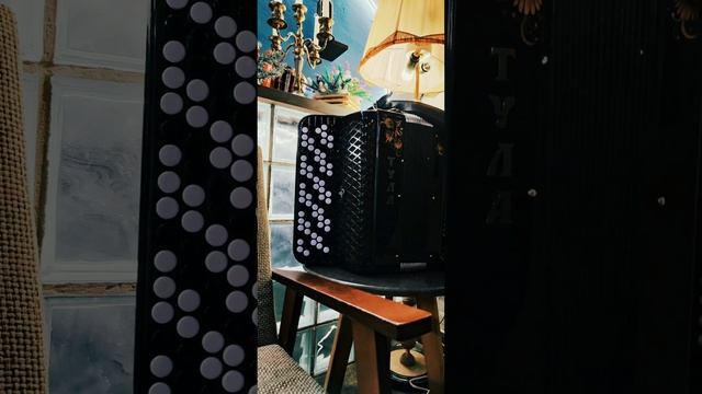 #баянист @ivanovsongs #посиделки под #баян смотреть онлайн