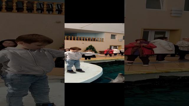 1000025144.mp4 смотреть онлайн