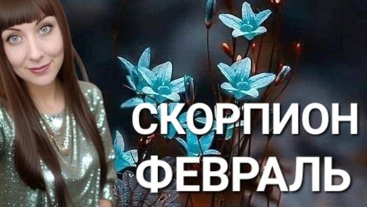 Скорпион гороскоп,астрологический прогноз на февраль месяц 2025 года #гороскоп #скорпион #звезды смотреть онлайн