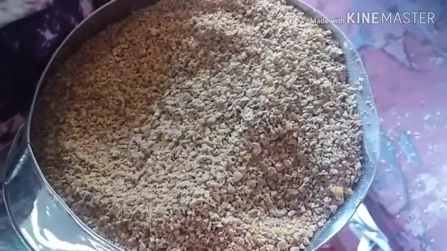 ഇറച്ചി കോഴി വളർത്തലിൽ മികച്ച വിജയം കൈവരിക്കാം// Broiler Chikken Farming