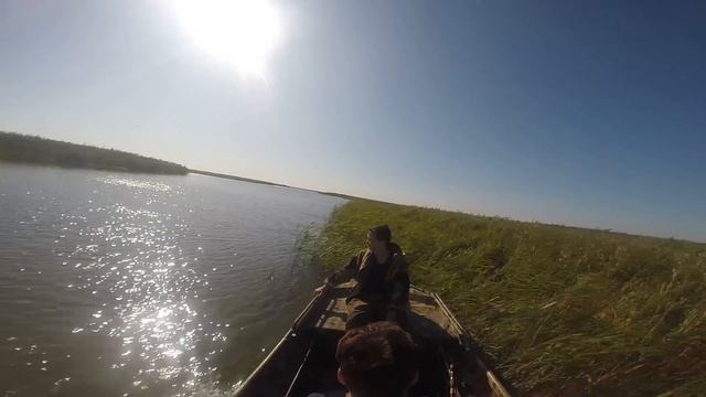 Тест новой лодки болотохода с мотором 18 л.с смотреть онлайн