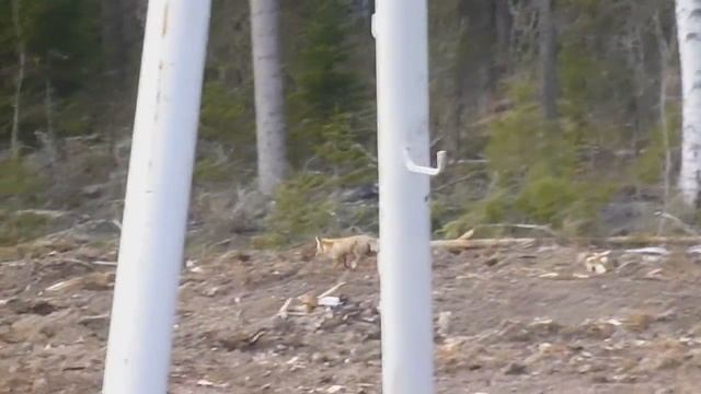 вездеход смотреть онлайн