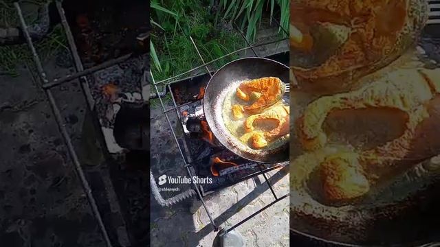 На костре(мангал) - Сёмга+соль+паприка... смотреть онлайн