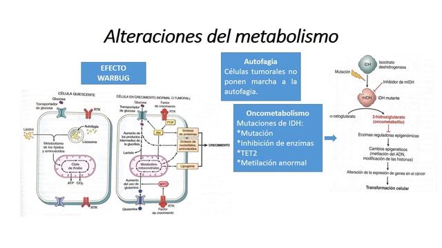 INHIBICIÓN POR CONTACTO смотреть онлайн