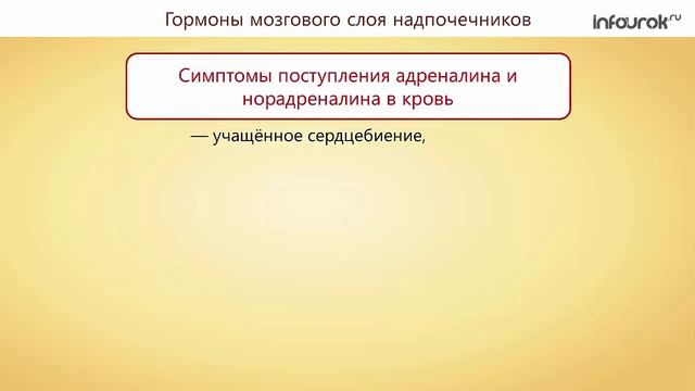 42. Железы внутренней секреции и их функции смотреть онлайн