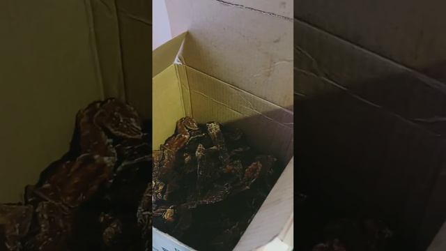 лакомства для собак, вымя, лёгкое свиное.Сушка смотреть онлайн