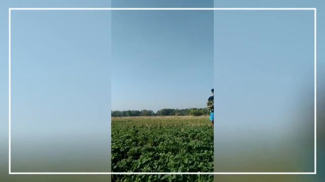 Petani Bayam #petanimuda #petaniindonesia #petanisukses #petanimilenial #petanihebat смотреть онлайн