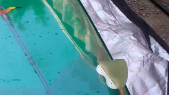 Takayama DT-2 the most versatile longboard - Hawaiian Pro Designs Surfboard смотреть онлайн
