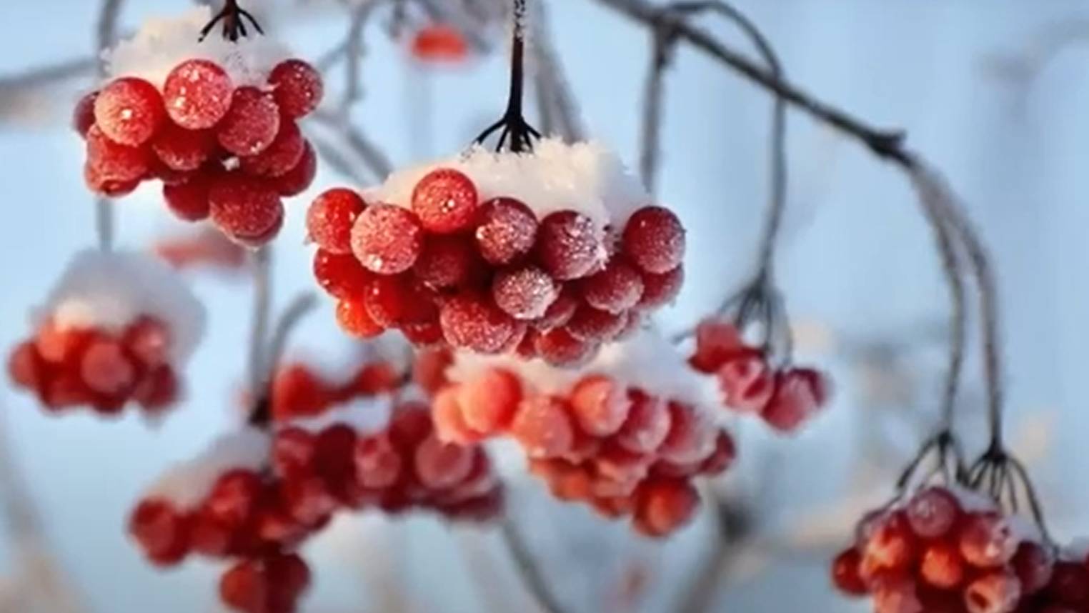 PAUL MAURIAT - Collection ОРКЕСТР ПОЛЯ МОРИА - Зимняя сказка смотреть онлайн