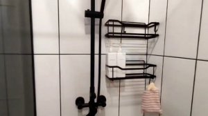 Skandi белка ждет Вас в гости!