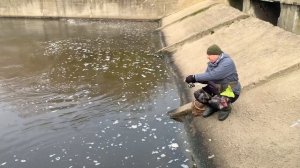 Курьяновский слив. Фартовый день.