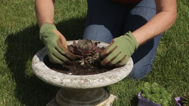 How to Turn a Bird Bath Into a Planter смотреть онлайн