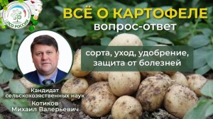 Как вырастить урожайный картофель_ Советы эксперта Михаила Котикова