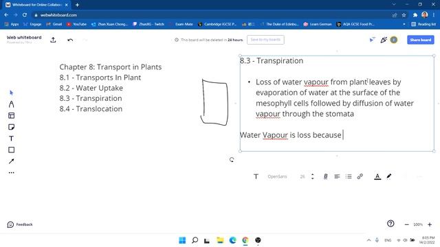 IGCSE Biology - Chapter 8 | Transport In Plants смотреть онлайн