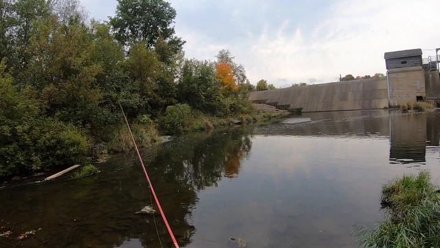 Late Summer Bass fishing(Largies & Smallies) смотреть онлайн
