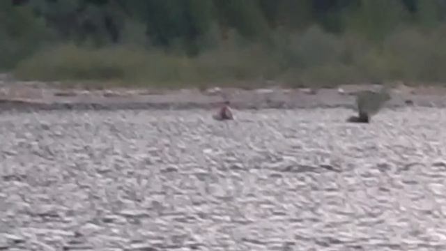 2018-05-26 1 пикник на обочине смотреть онлайн