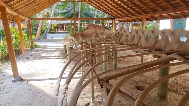 meeru Island resort & SPA смотреть онлайн